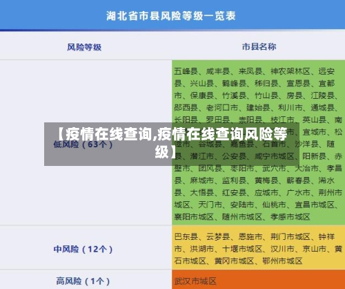 【疫情在线查询,疫情在线查询风险等级】