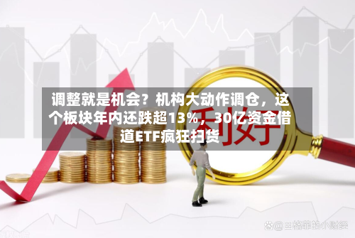 调整就是机会？机构大动作调仓，这个板块年内还跌超13%，30亿资金借道ETF疯狂扫货