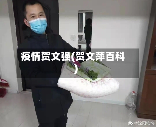 疫情贺文强(贺文萍百科)