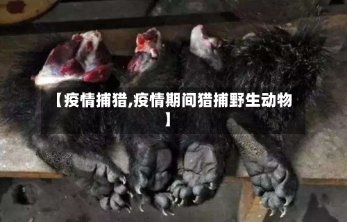 【疫情捕猎,疫情期间猎捕野生动物】-第3张图片