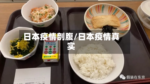 日本疫情剖腹/日本疫情真实-第2张图片